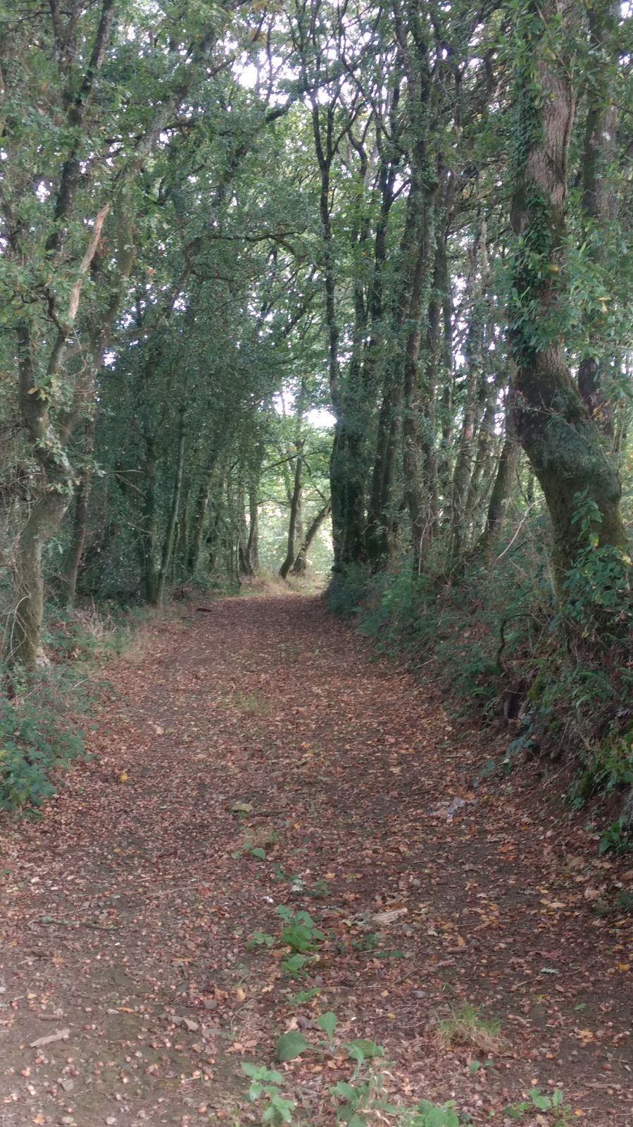 Apadrina un camino - foto de septiembre